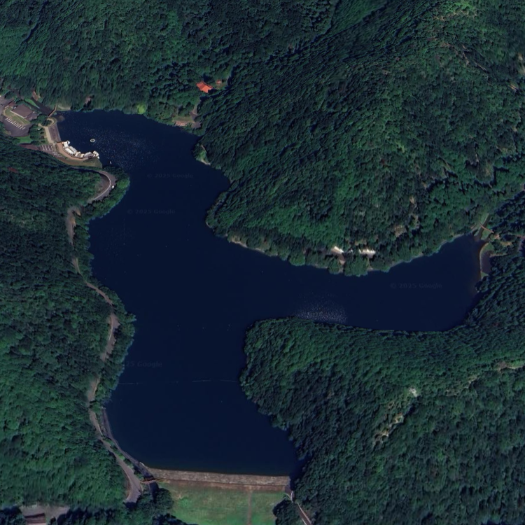 伊自良湖 FISHIG & ADVENTURE PARK