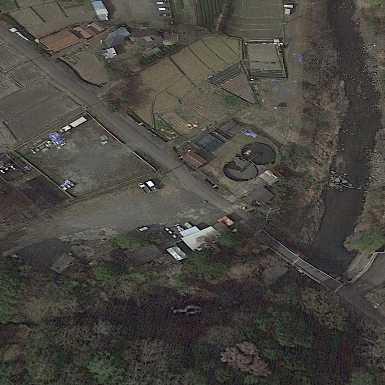 つりの駅 安倍藁科漁業組合 静岡マス釣場