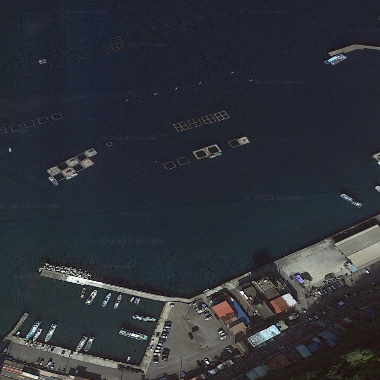 いかだ釣りの東海