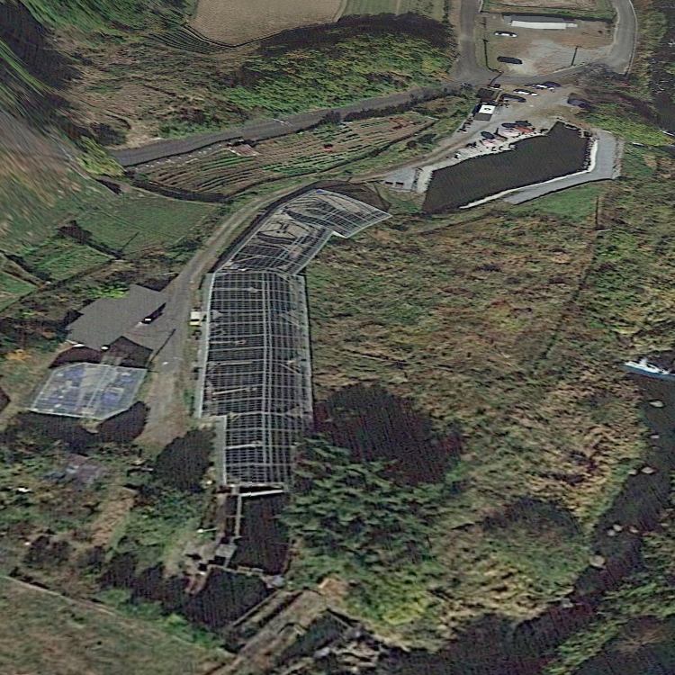 中伊豆フィッシュファーム マス釣り場