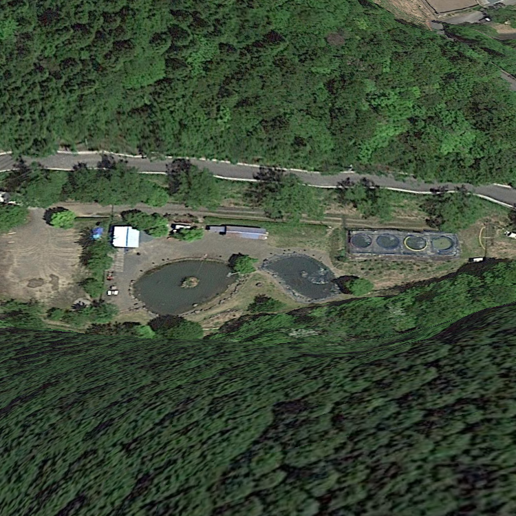 大河内清流やまめの里