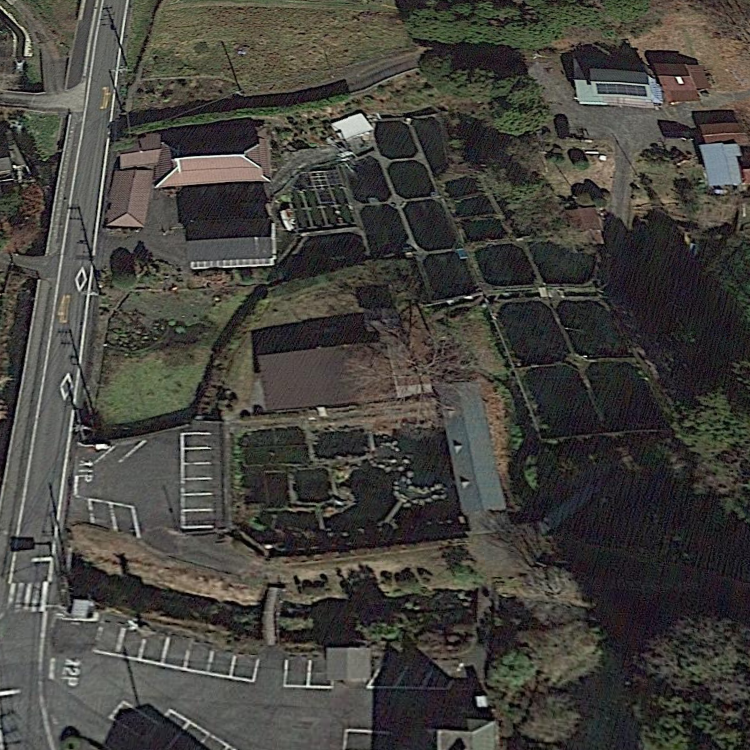 つりぼりつかみどりの郷 杵塚養鱒