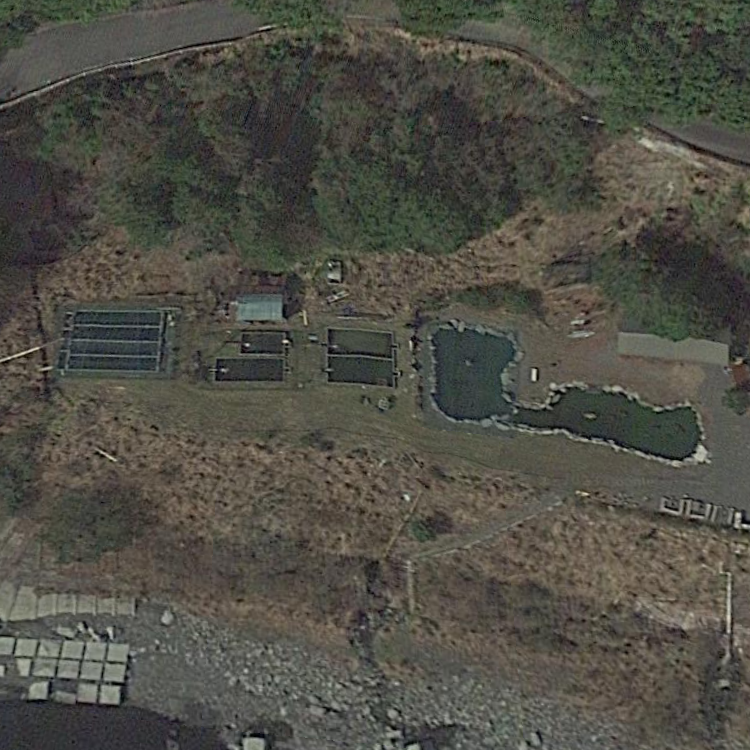 釣り堀やっちゃん