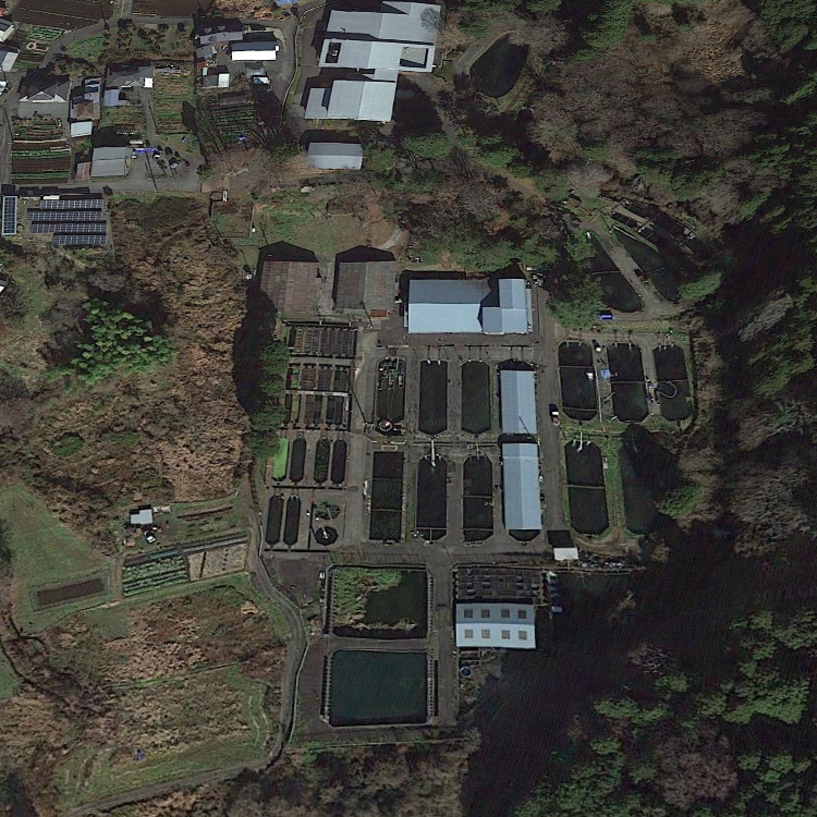 静岡県水産技術研究所 富士養鱒場