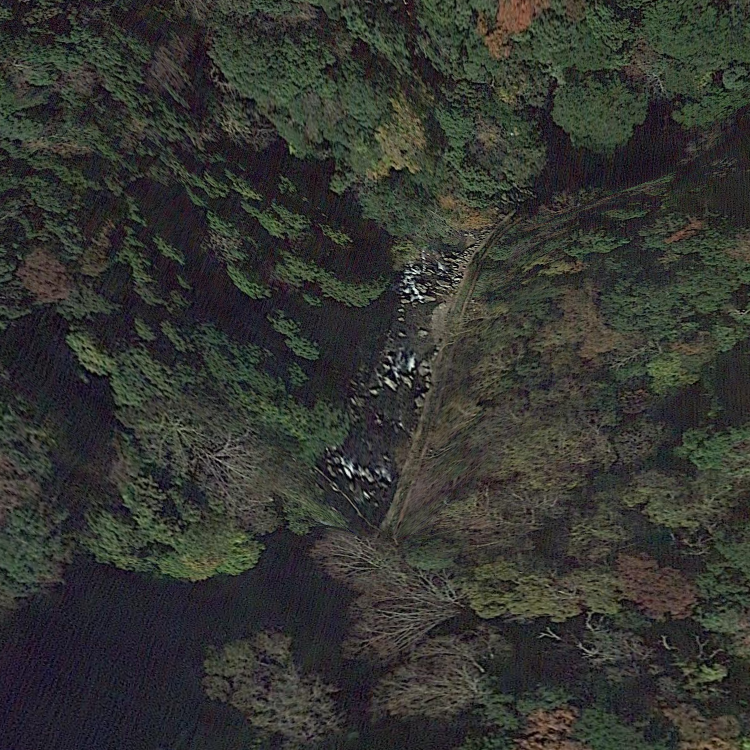 天城国際鱒釣場