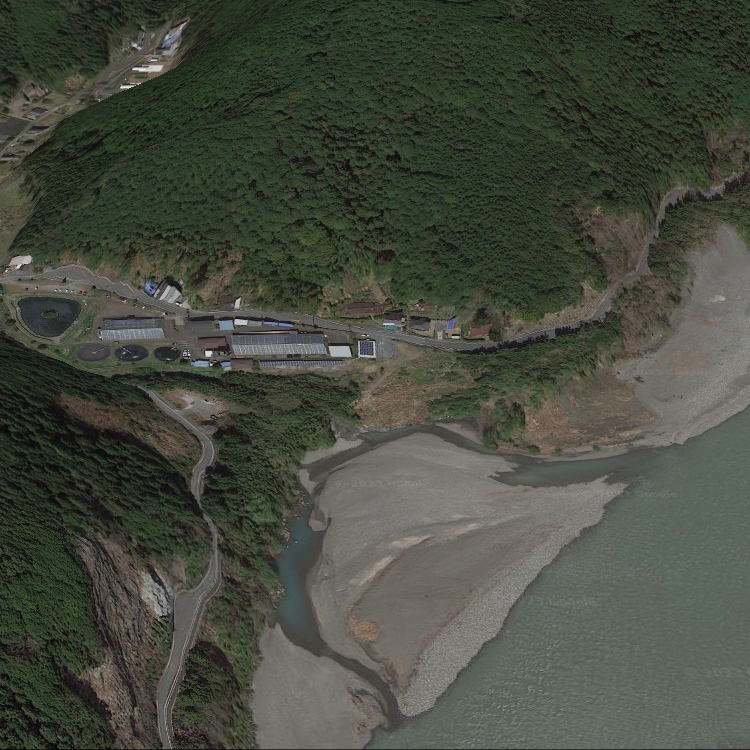 天竜川ルアーフライ専用区