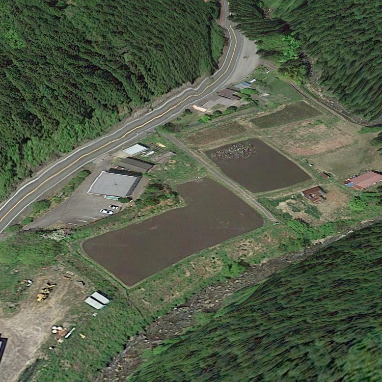 川宇連マス釣り場