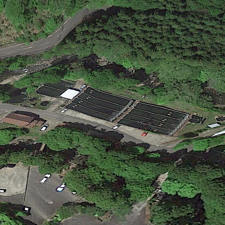 神越渓谷マス釣り場