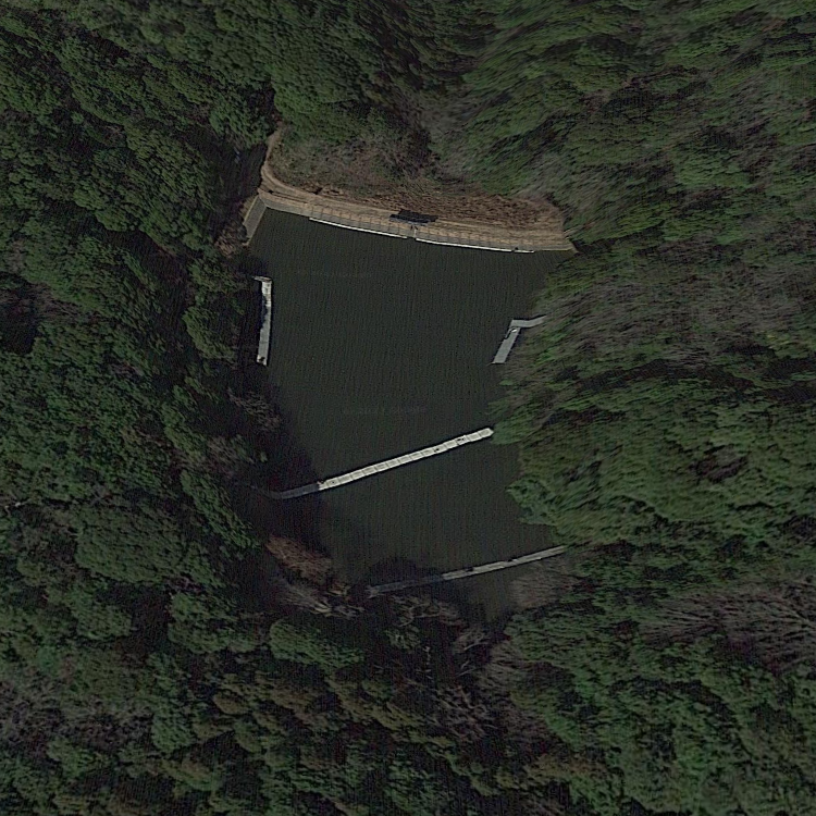 岡崎トラウトポンド