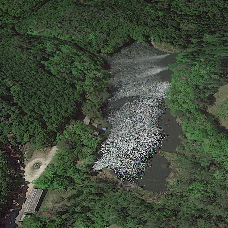 三河高原キャンプ村 朝霧池