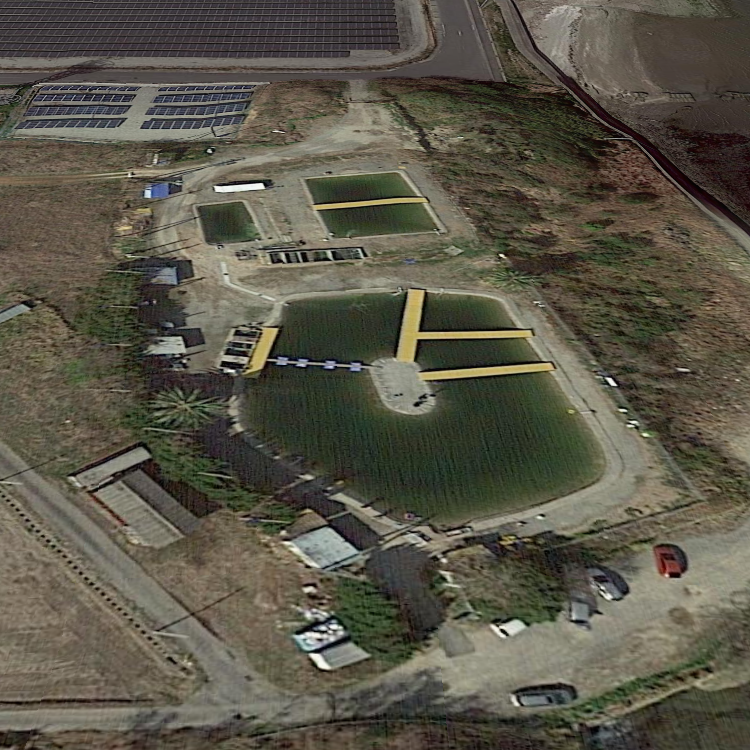 爆釣 美浜フィッシングパーク