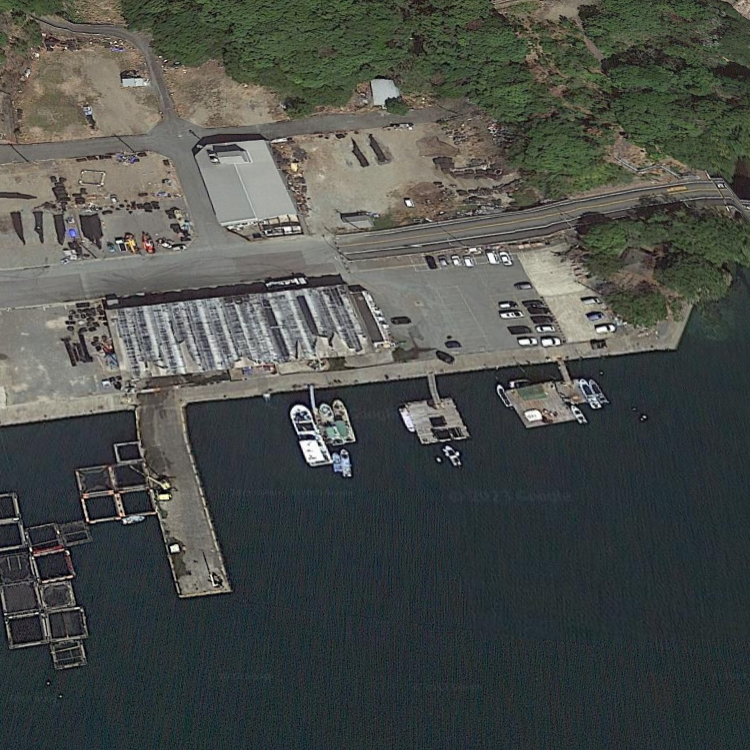 フィッシングパーク錦