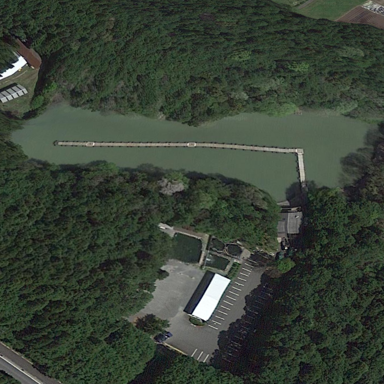 フィッシングサンクチュアリ