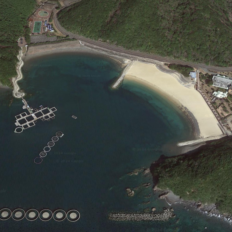 海上釣り堀 正徳丸