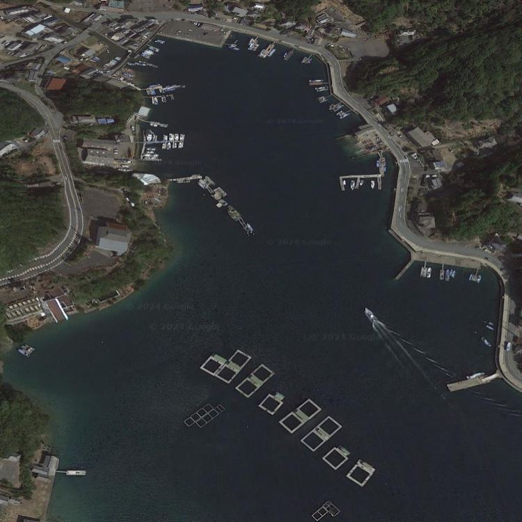 海上釣り堀 和光