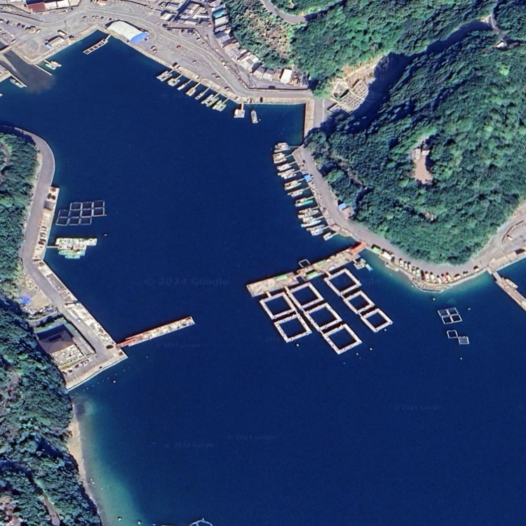 つりぼりマルヨ