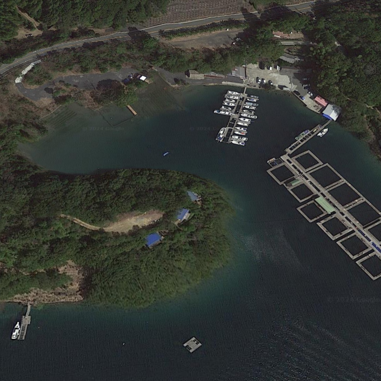 あなたに逢い鯛 釣り堀