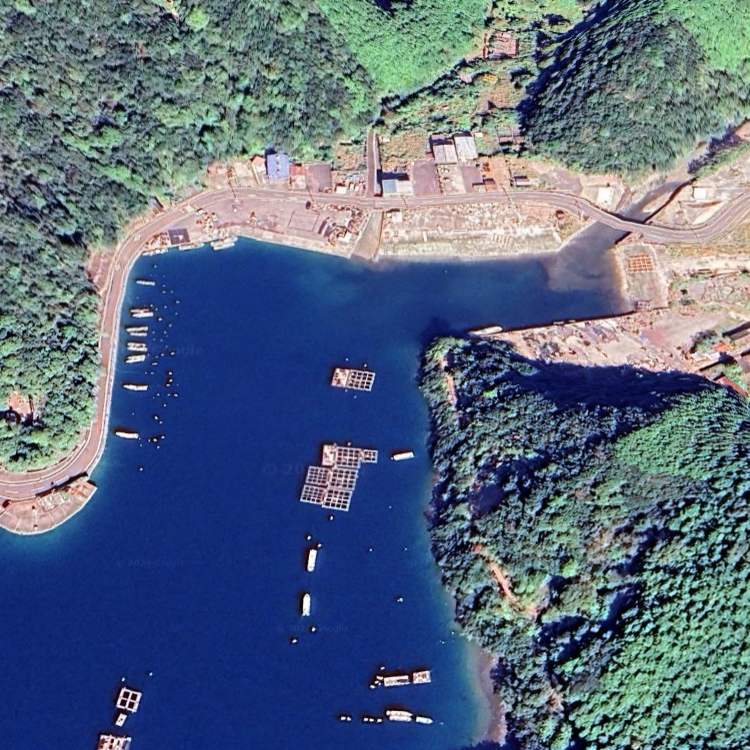 カセ釣り あら丸