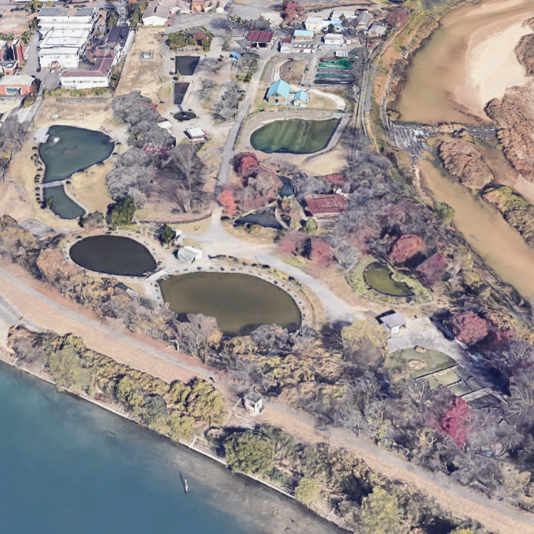 ちびっ子釣り場