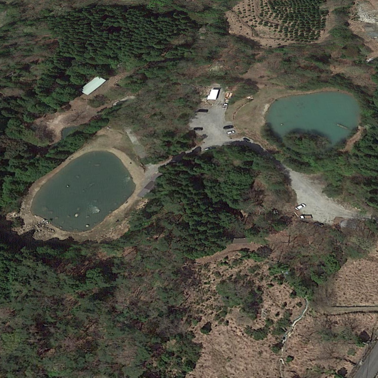 ガリバーフィッシングガーデン