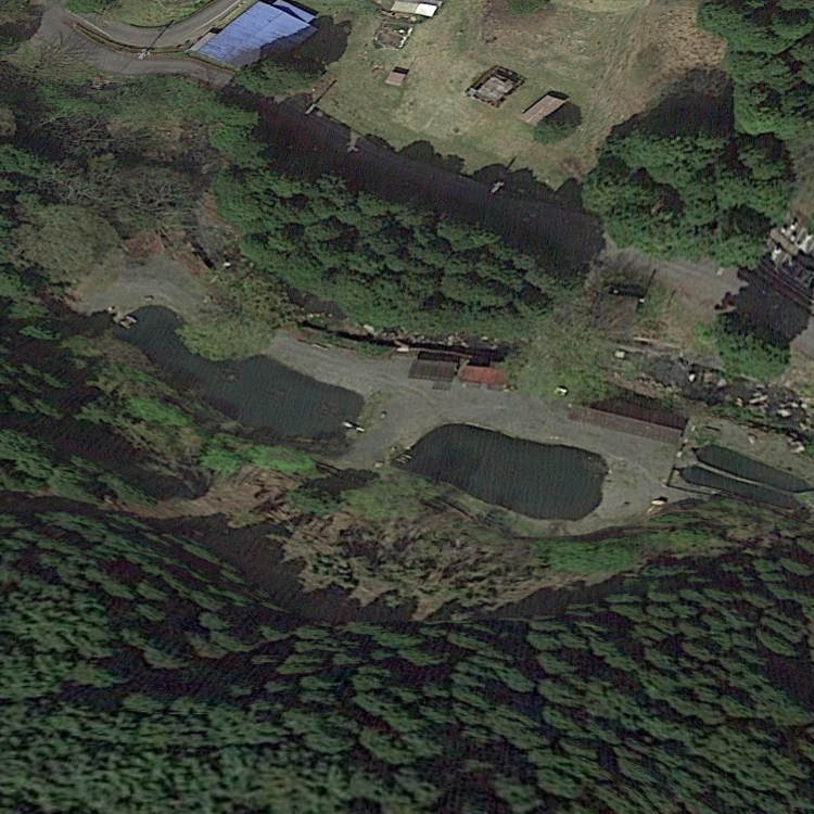 村井フィッシングセンター