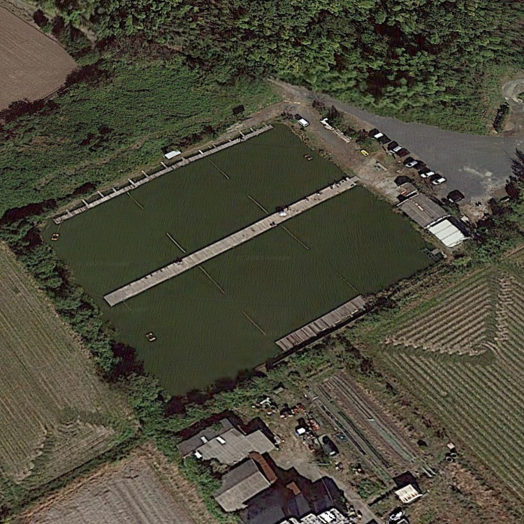 へらぶな釣り水茎