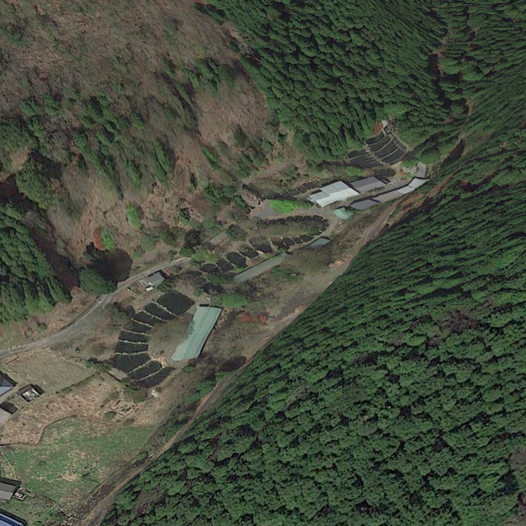 朽木こがわ渓流センター