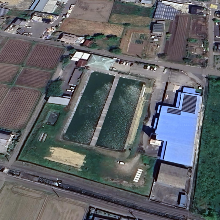 つりぼり トム・ソーヤ