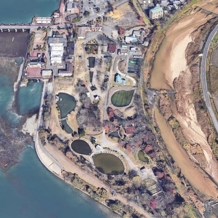 アユつかみどり