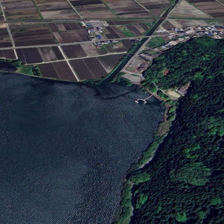 余呉湖漁協ワカサギ釣り(川並釣桟橋)