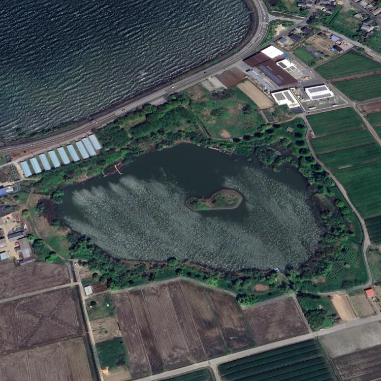 野田沼緑地公園