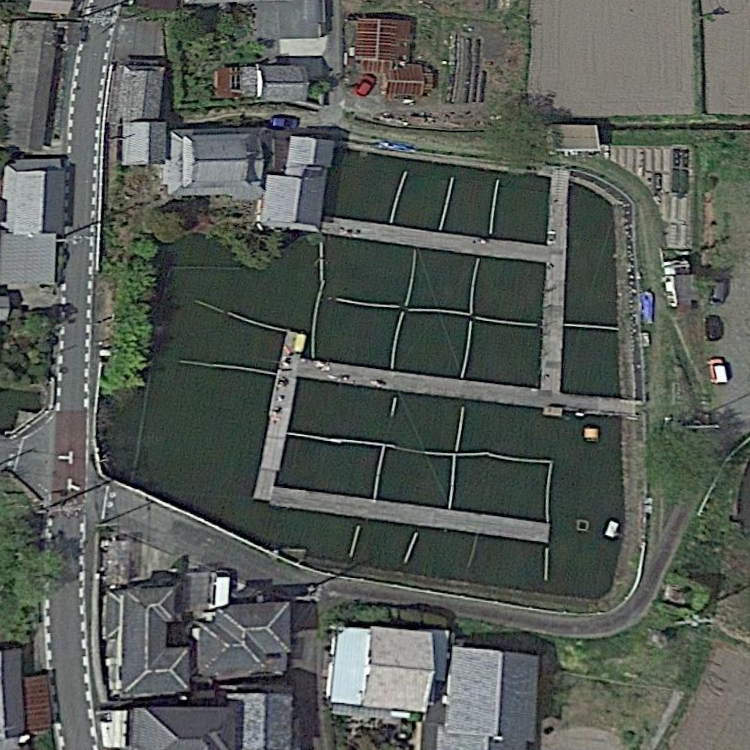 京都へら連中池