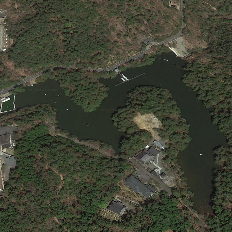 ハミングバード通天湖