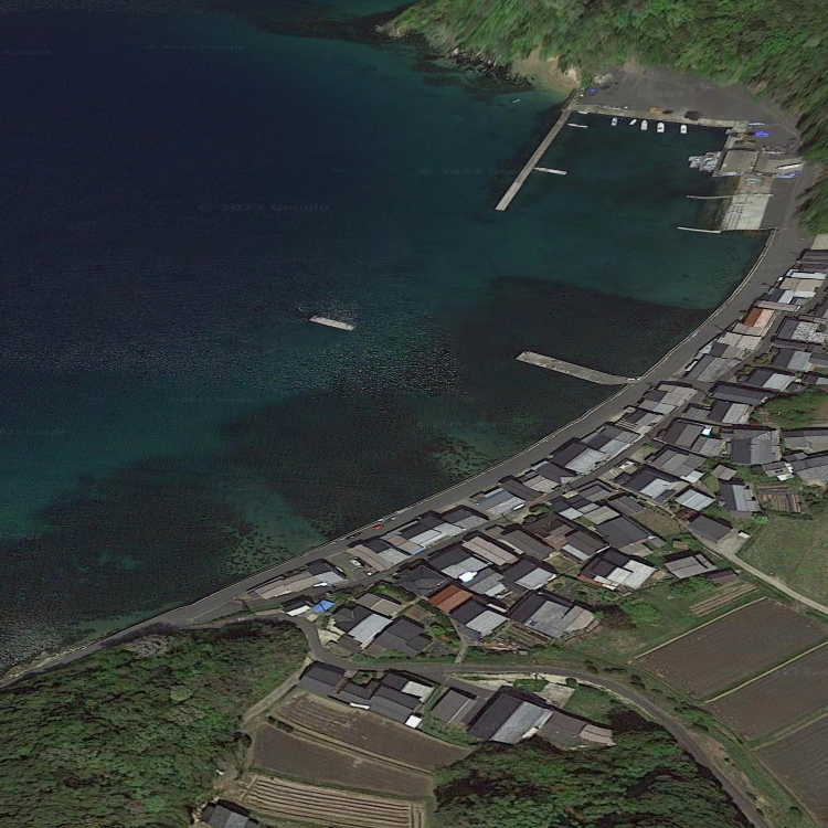 田井観光フィッシング