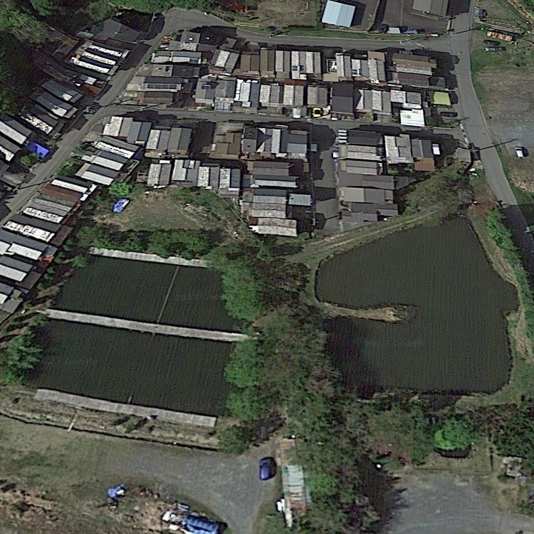 湯の花・フィッシングセンター