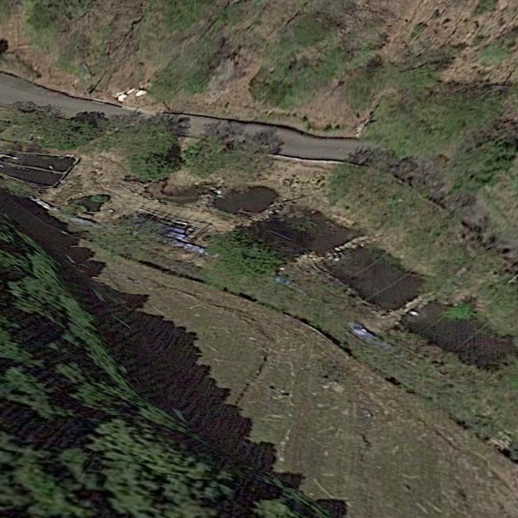 やくの今里釣堀