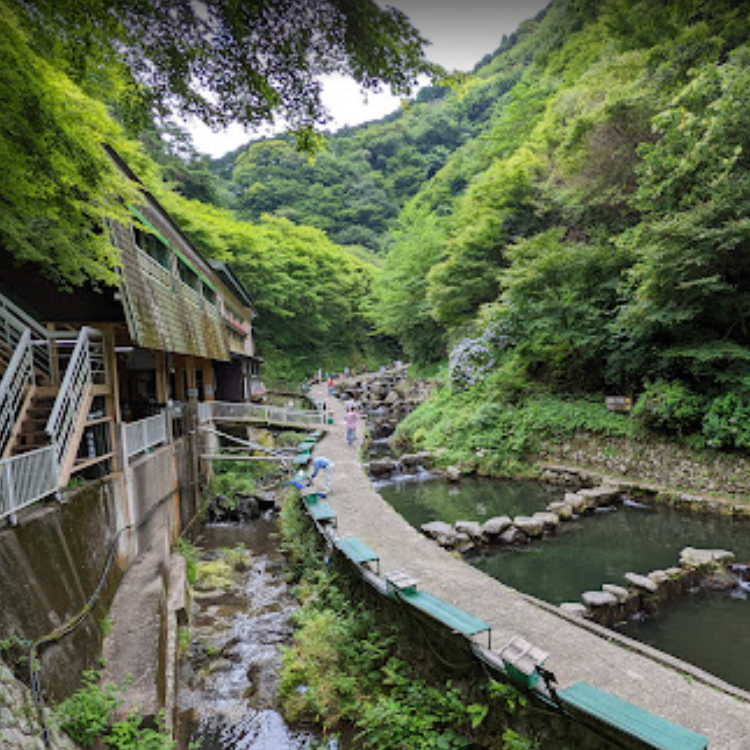 千早川マス釣り場