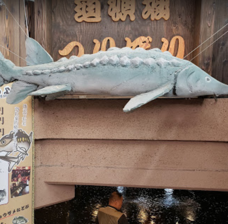 道頓堀つりぼり