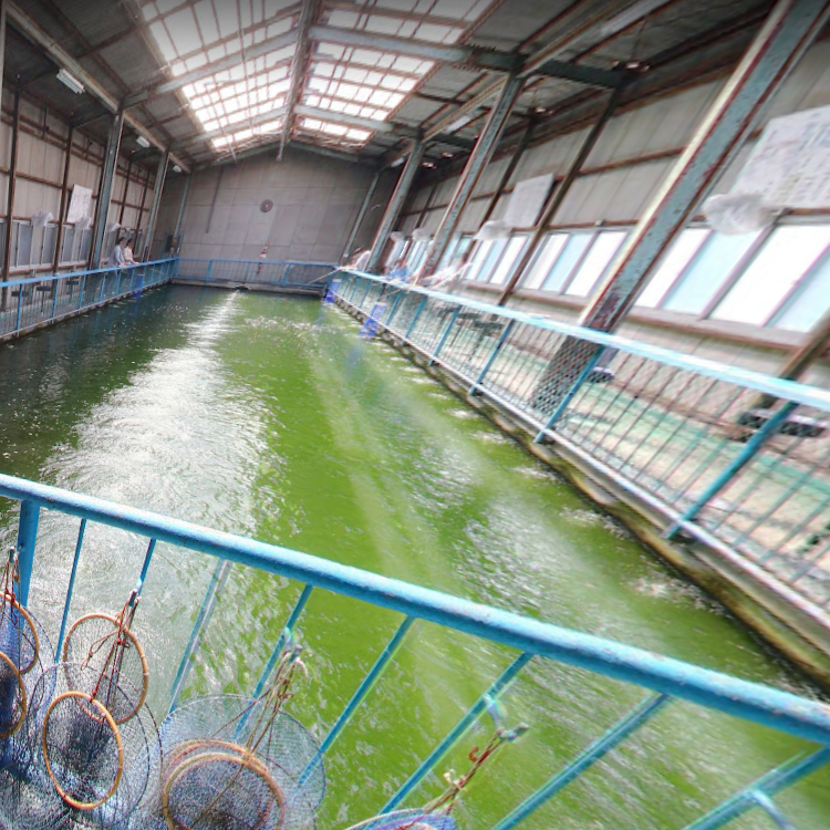 東大阪釣堀センター