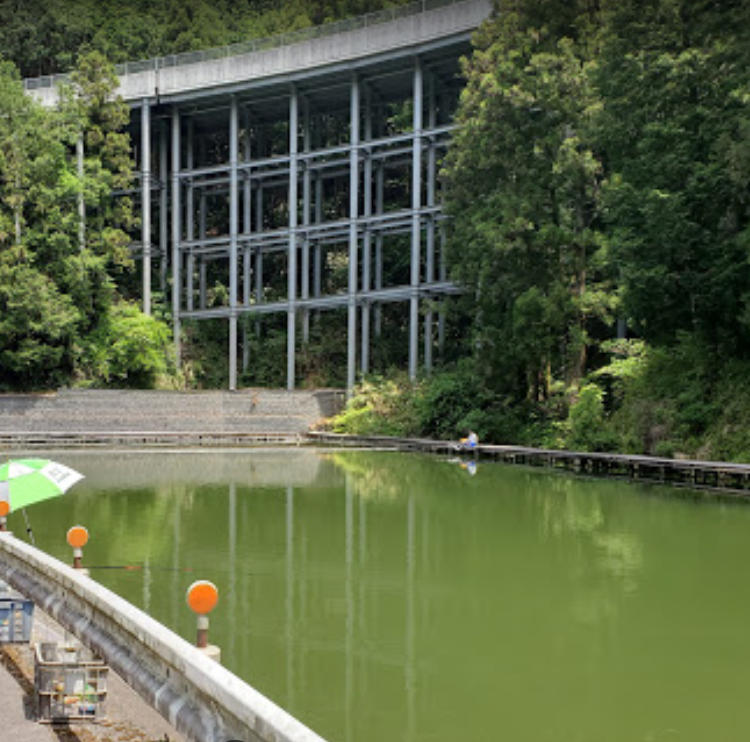 槙尾山鯉つり堀