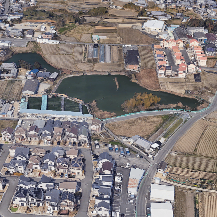 へら鮒釣り堀こしが池