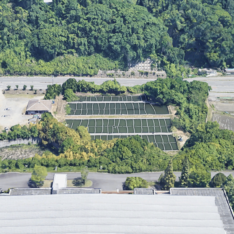 阪奈園へら鮒センター