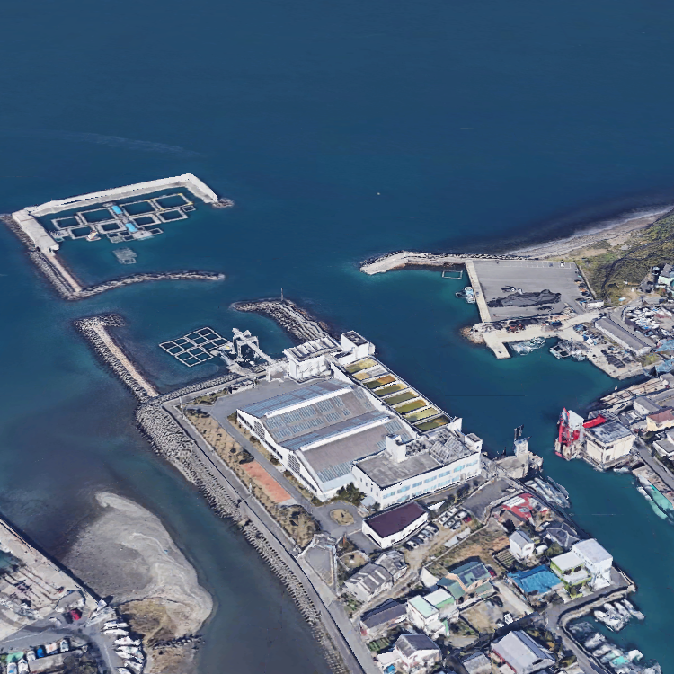 観音崎・谷川港