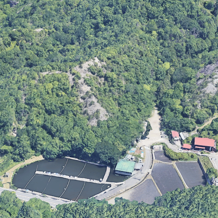 二上山万葉の森 フィッシングセンター竹の内