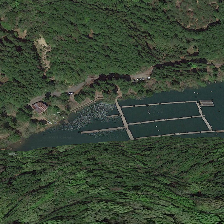 長谷大池釣り池センター