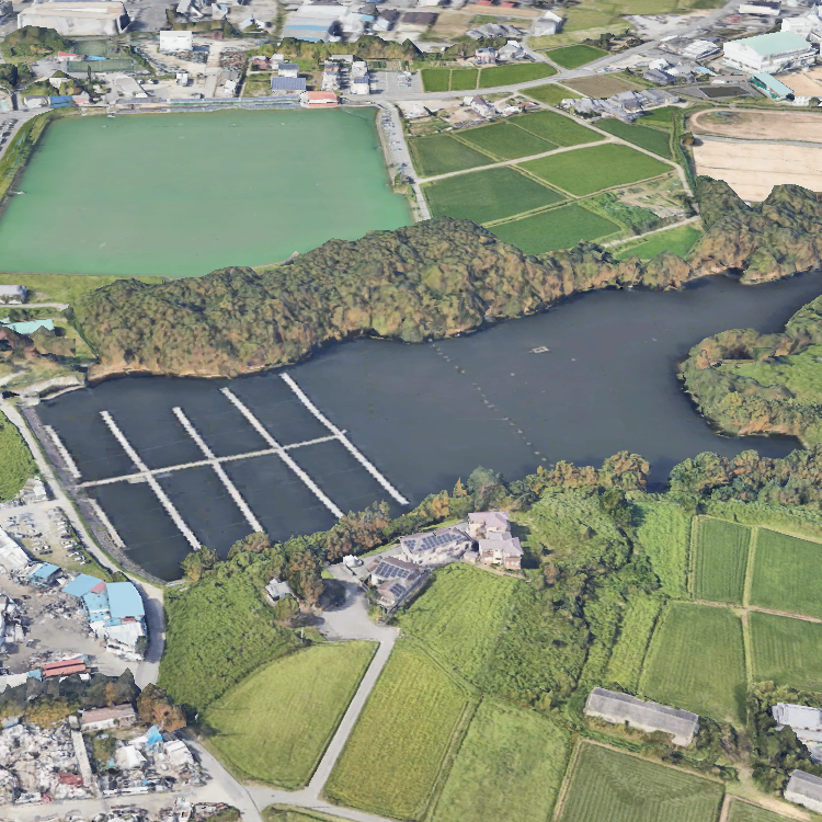 新松池へら管理釣り場