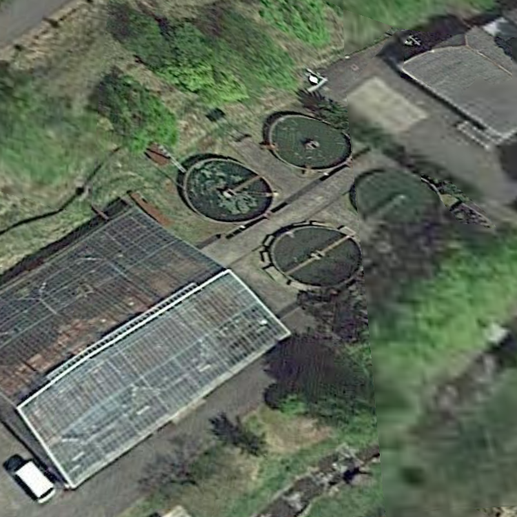 釣れマスつり場