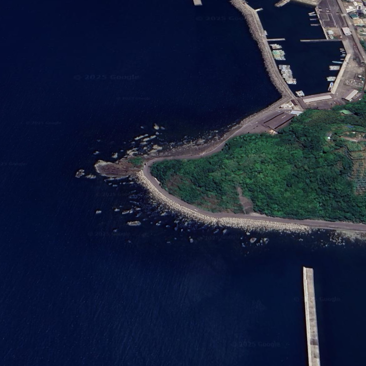 鷲の川 渓流アマゴ釣り