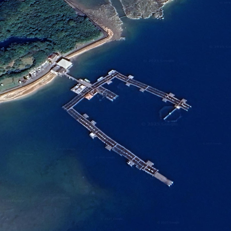 新庄漁協鳥の巣魚釣場