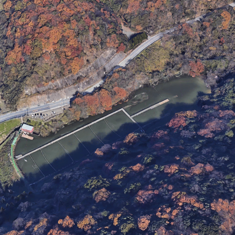 釣堀センター 菊水